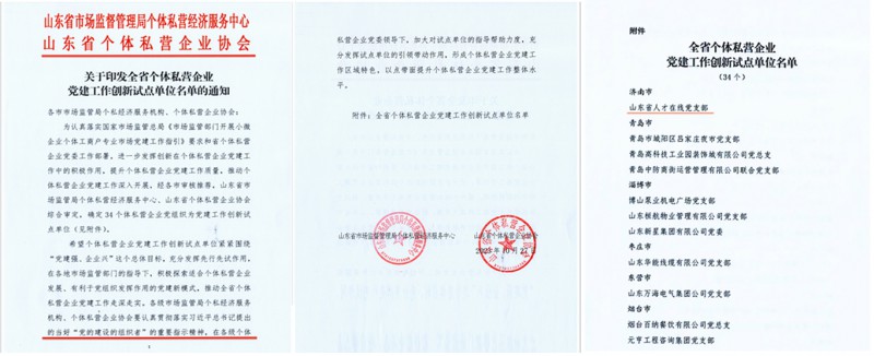 試點(diǎn)單位拼圖