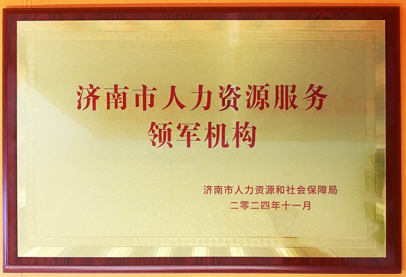 領(lǐng)軍機構(gòu)榮譽證書jpg